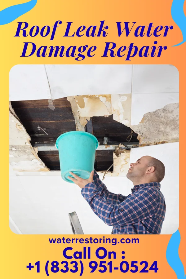 Roof Leak Water Damage Repair in Ramsey, IL