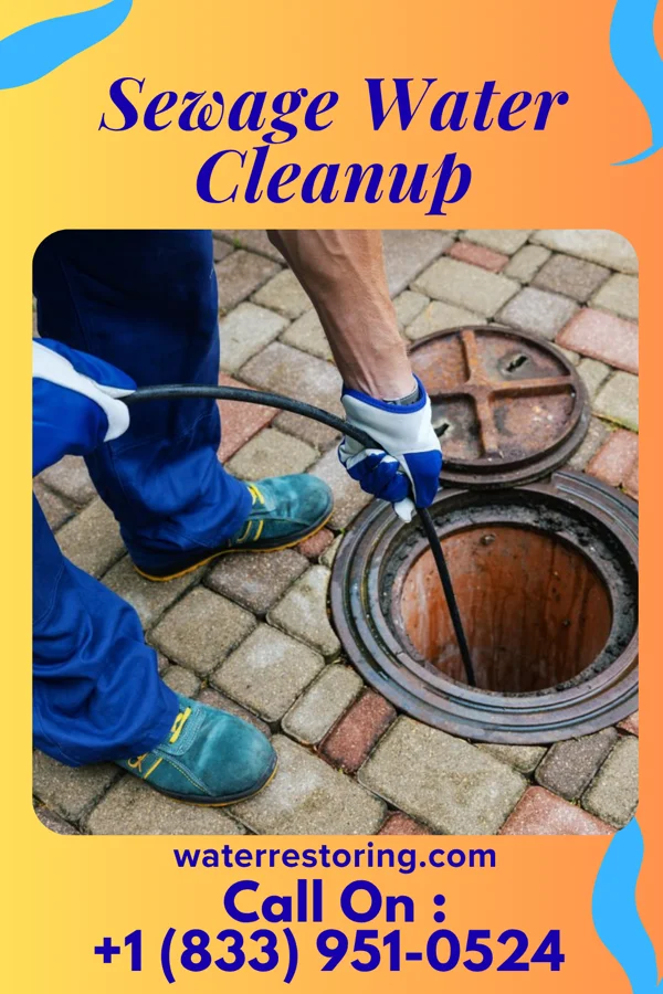 Sewage Water Cleanup in Ramsey, IL